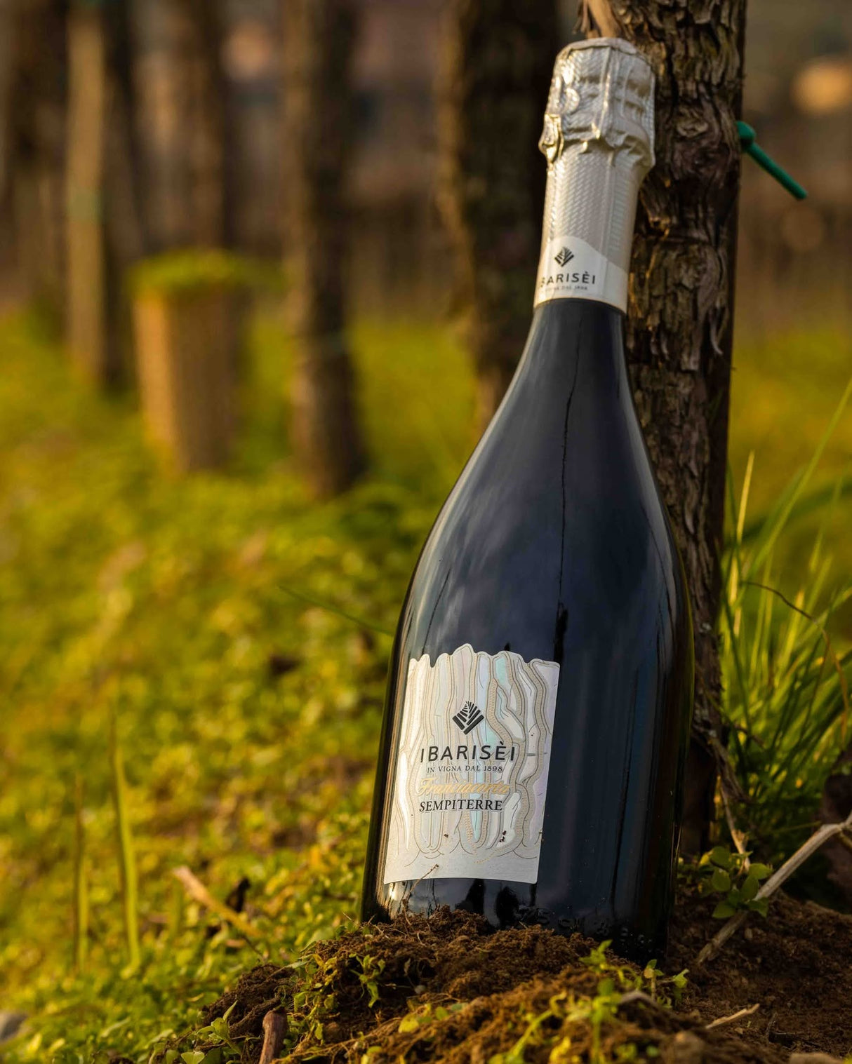 Barisei Franciacorta Sempiterre Cuvée Extra Brut