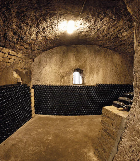 CANTINE DI MARZO