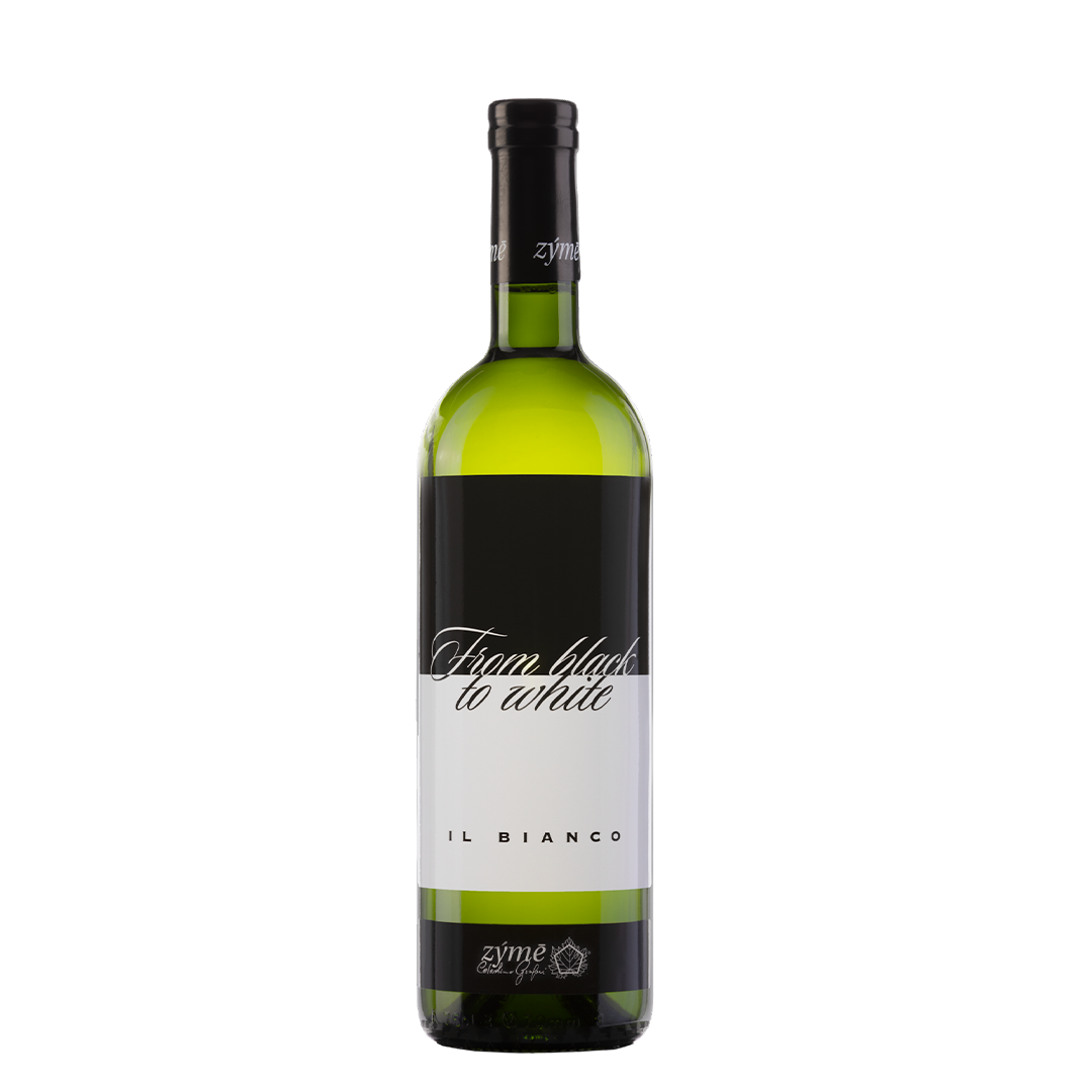 Zyme From Black to White IGP Bianco Veneto 2021 - squisitoo